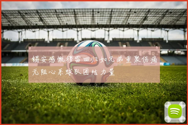 锡安感慨穆雷回归如兄弟重聚伤痛无阻心系球队团结力量